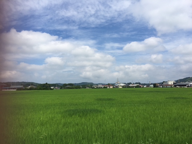 今日は夏みたいな天気_c0064389_11331088.jpg