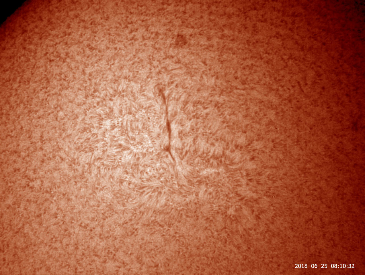 6月25日の太陽_e0174091_14491942.jpg