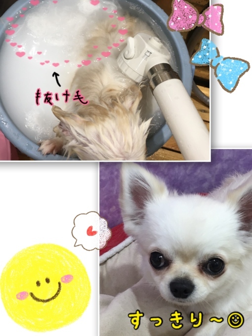 d0269898_18022737.jpeg