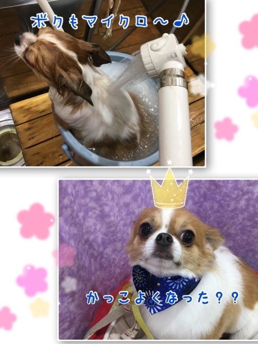 d0269898_18054840.jpeg