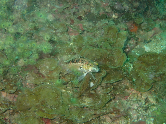 e0115199_12303350.jpg