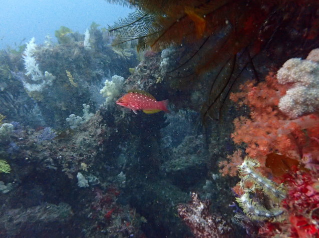 e0115199_15463667.jpg