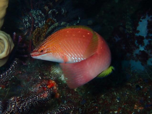 e0115199_16110275.jpg