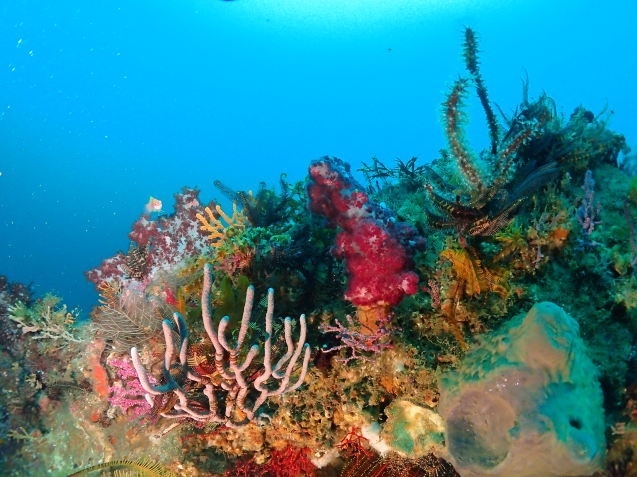 e0115199_16273037.jpg