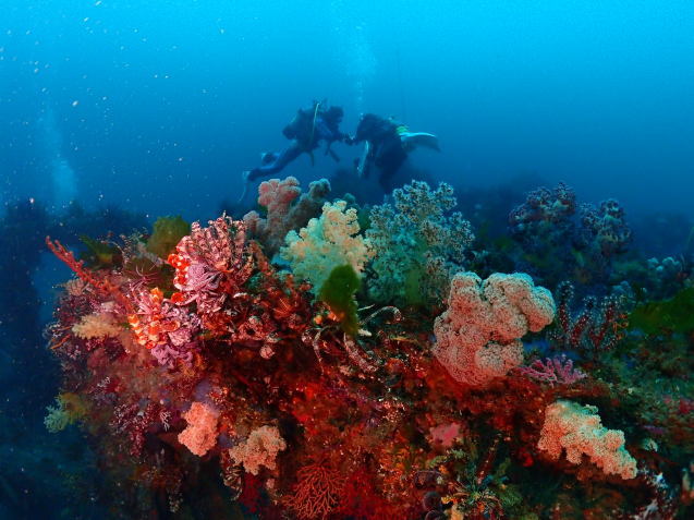 e0115199_16275927.jpg
