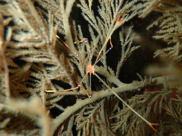 e0115199_16281144.jpg
