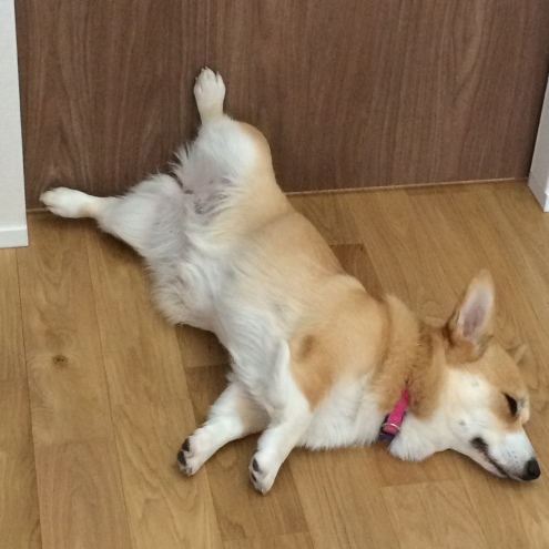 e0123299_01314211.jpeg