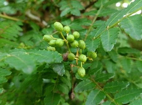 a0236300_11175082.jpg