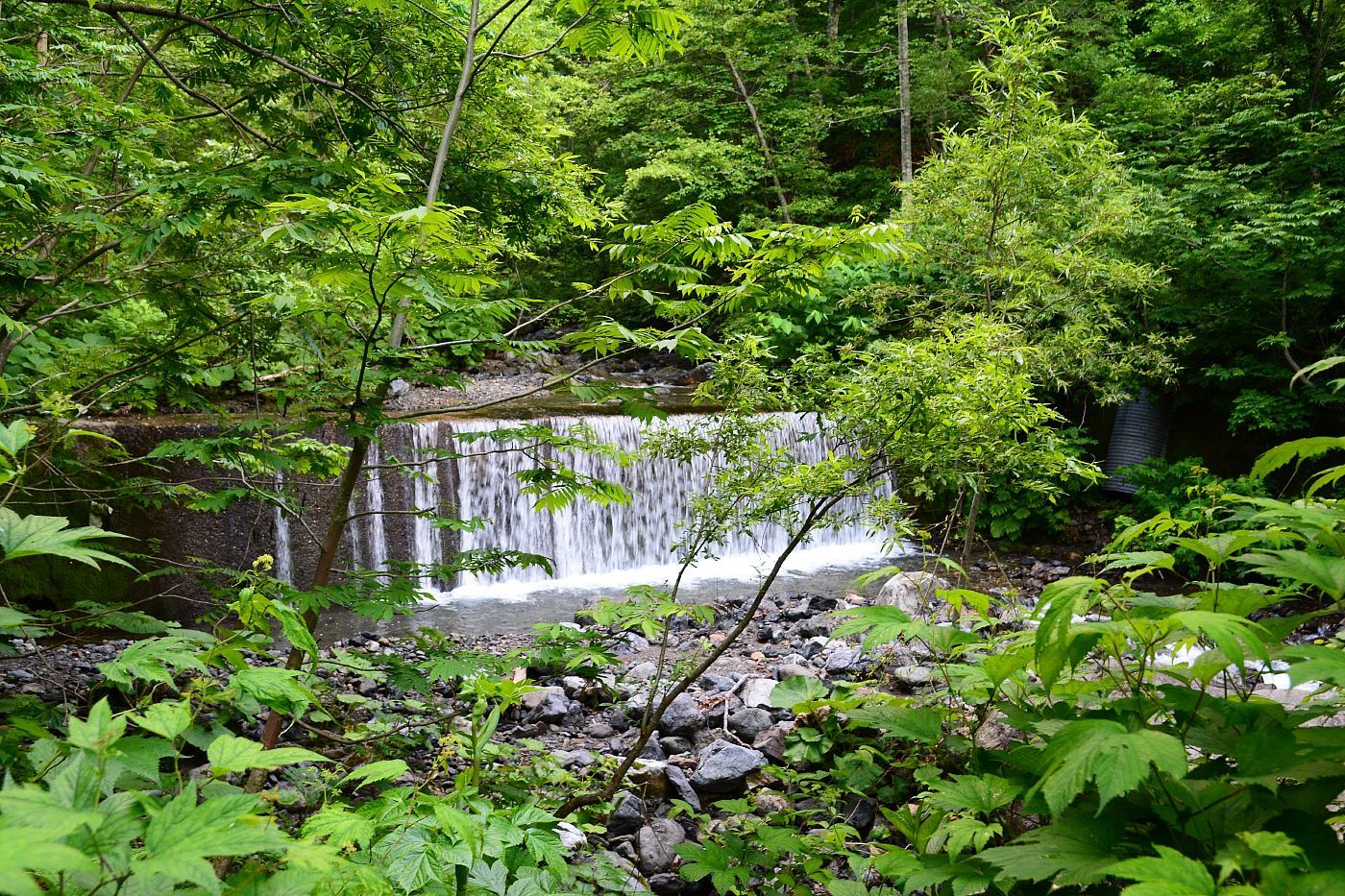 a0248508_17275395.jpg