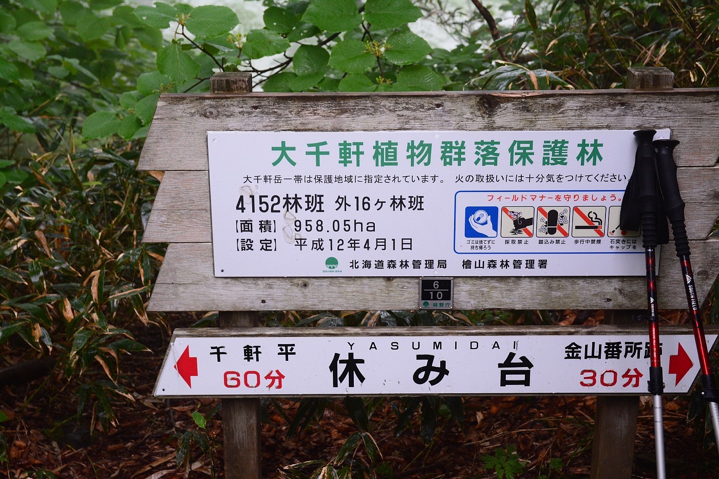 a0248508_17381077.jpg