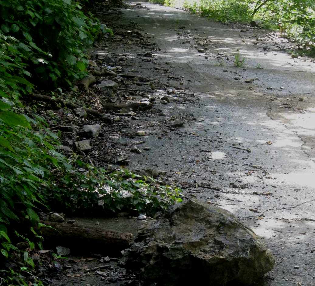 e0003910_19571966.jpg