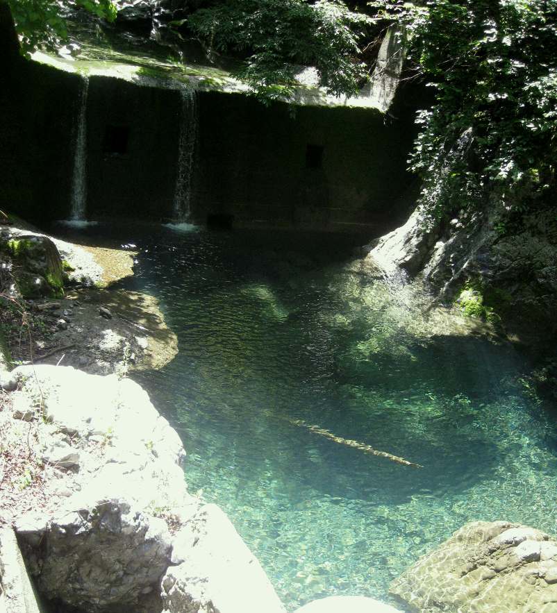 e0003910_9244946.jpg
