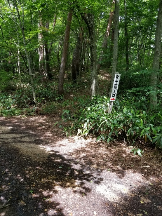 f0219710_07421356.jpg