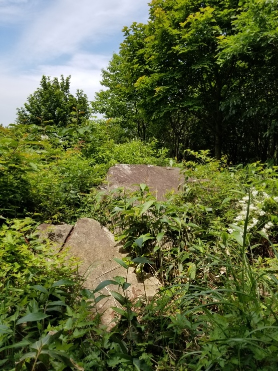 f0219710_07443510.jpg