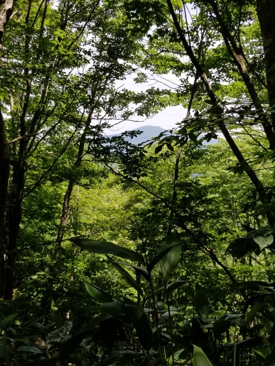 f0219710_07452872.jpg