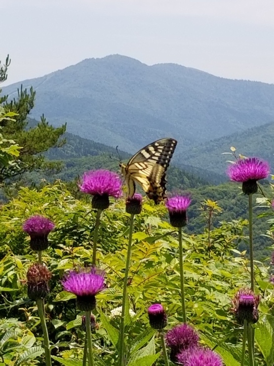 f0219710_07505423.jpg