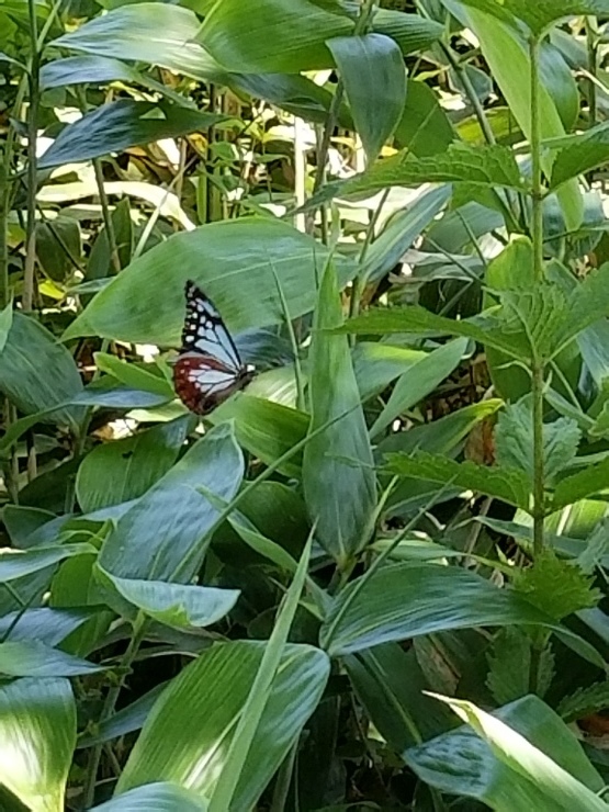 f0219710_07541359.jpg