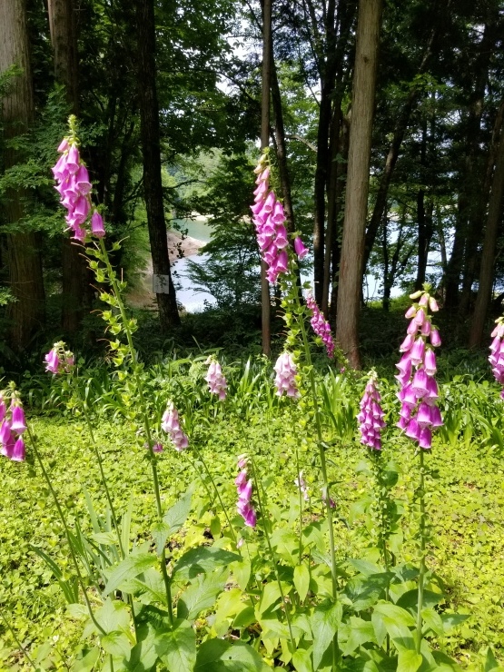 f0219710_08012620.jpg