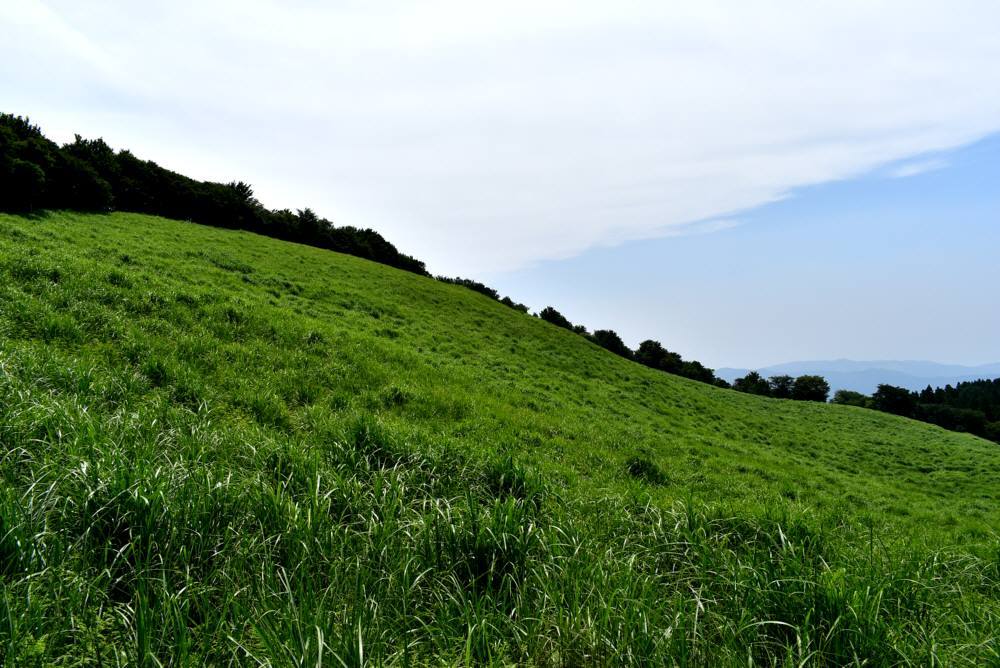 f0212511_06482250.jpg