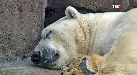 a0151913_22124393.jpg