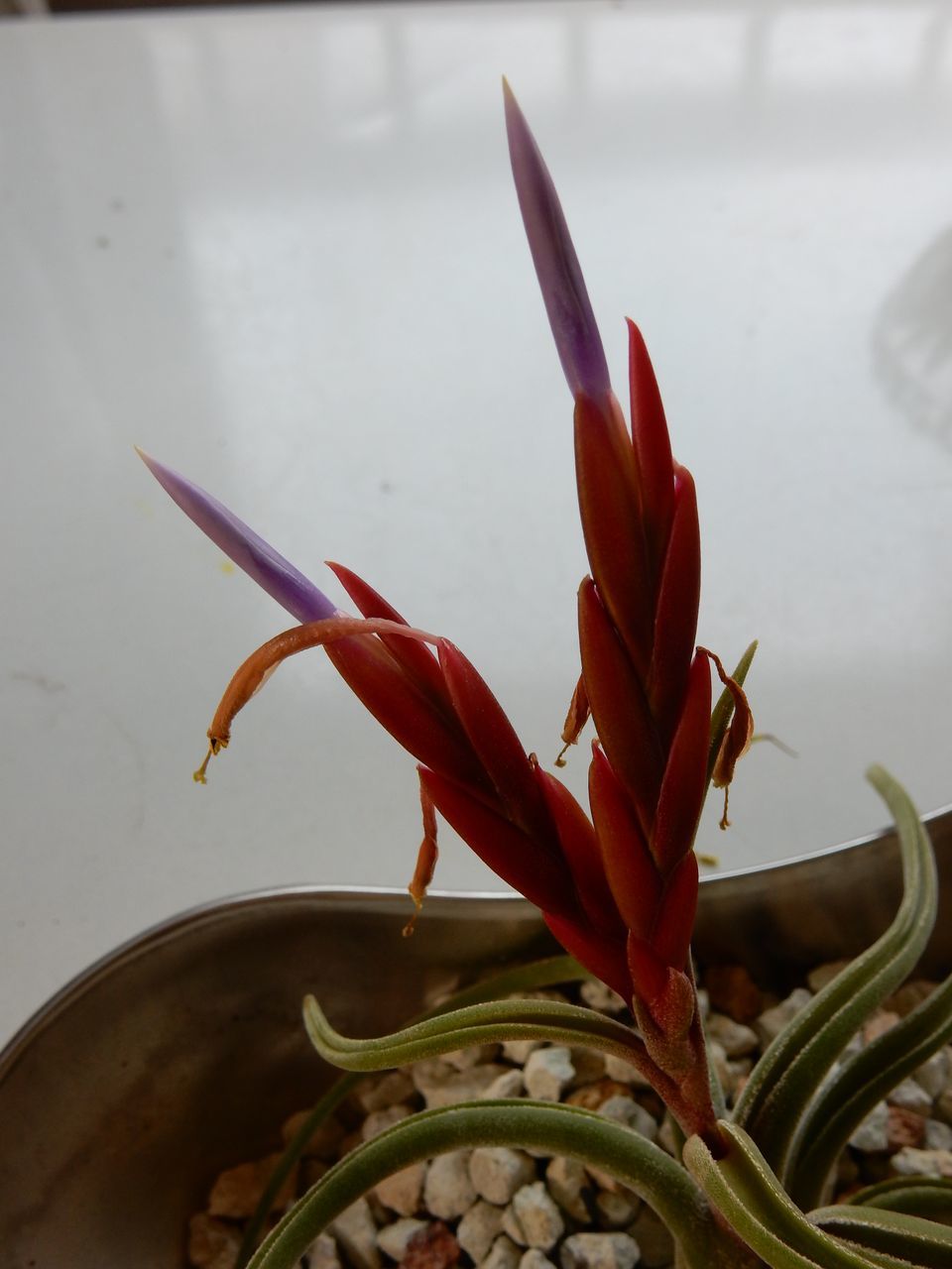 最高気温21.2℃_c0025115_22193075.jpg