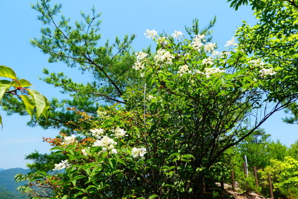 d0170615_09291972.jpg
