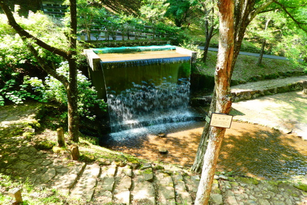 d0170615_09303910.jpg