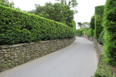e0133025_22074644.jpg