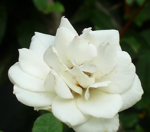 b0023728_12183324.jpg