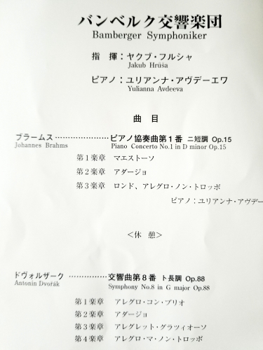 目も口もだめなら音楽があるさ バンベルク交響楽団_e0016828_14385948.jpg