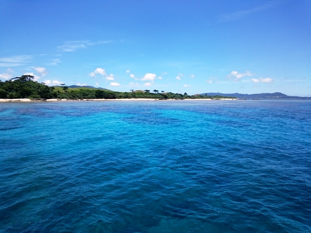真夏の海は楽しいよ~♪_a0189838_06505655.jpg