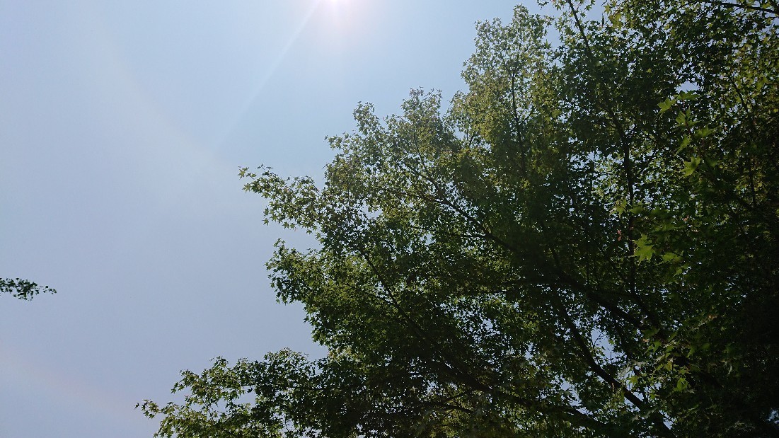 c0175339_23222355.jpg