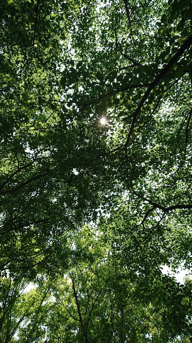 c0175339_23225126.jpg