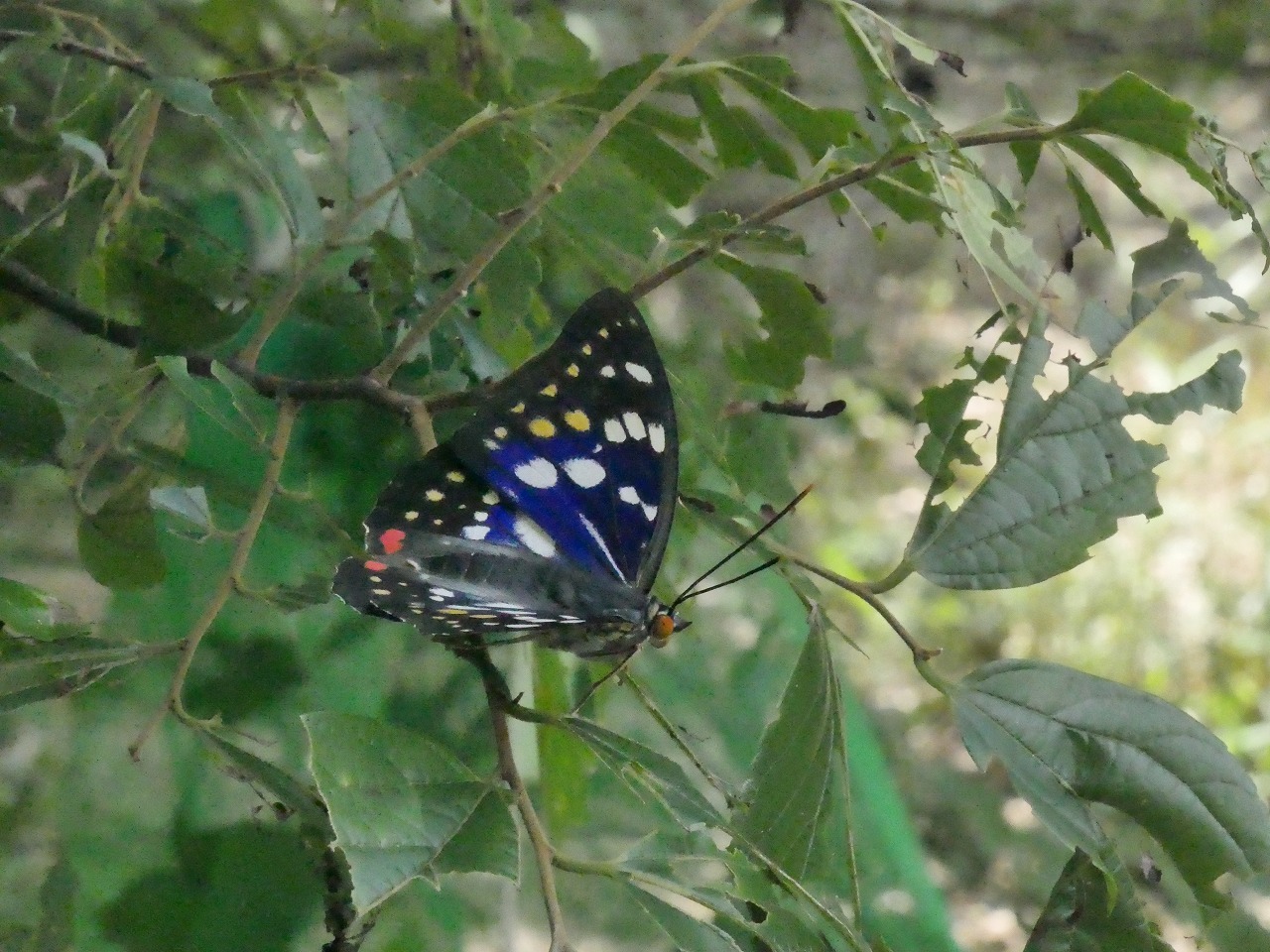 d0361041_20104049.jpg