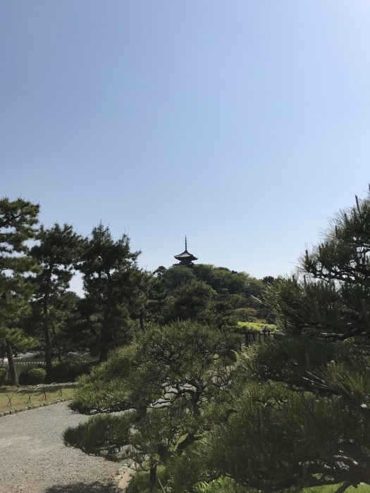 f0055142_14483099.jpg