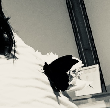 d0145345_22094130.jpeg