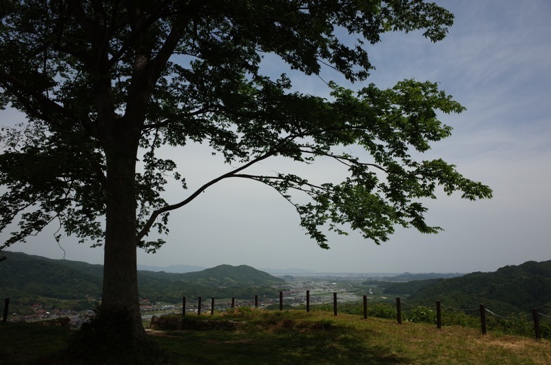 f0169147_13341566.jpg