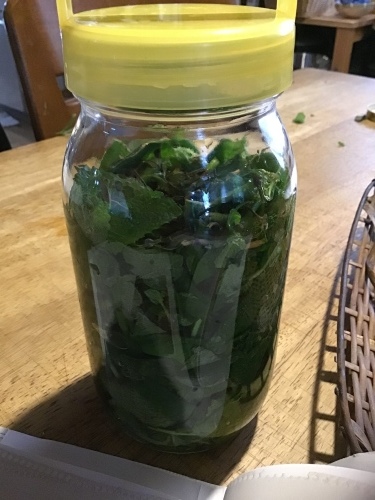 f0352451_11164055.jpeg