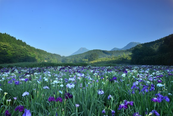 b0243152_14082800.jpg