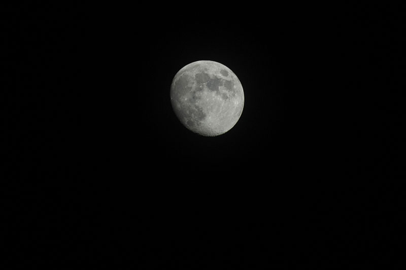 d0342652_9252481.jpg