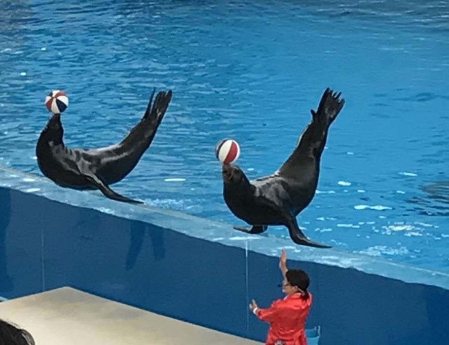 f0304452_14360599.jpeg