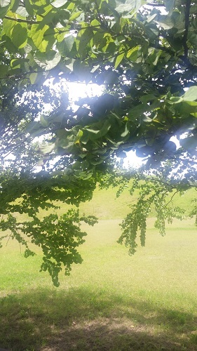 d0174664_04321070.jpg