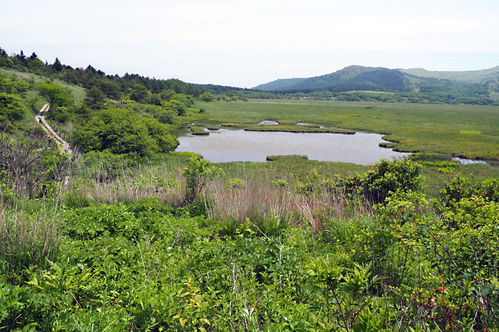 b0140765_2264740.jpg