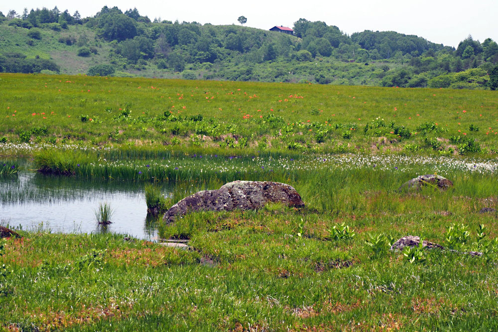 b0140765_2271955.jpg