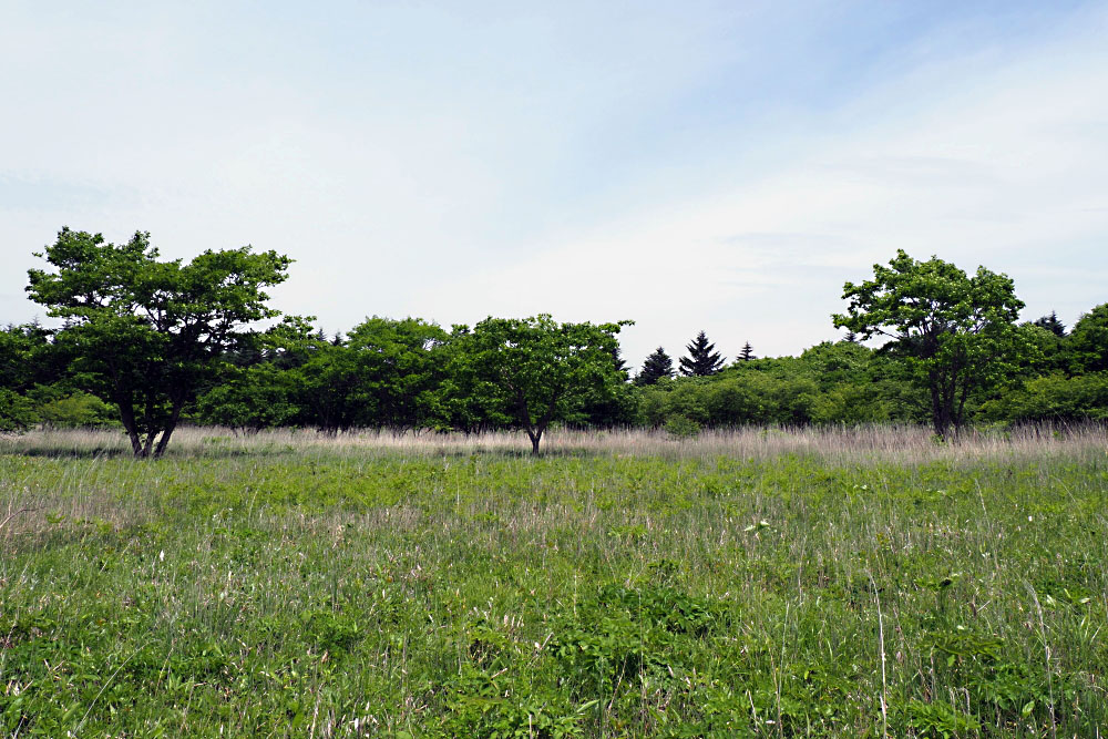 b0140765_2285536.jpg