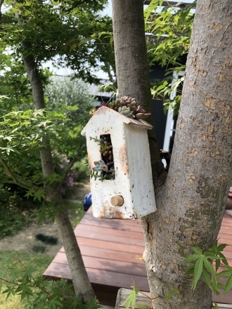 f0231568_17172047.jpeg