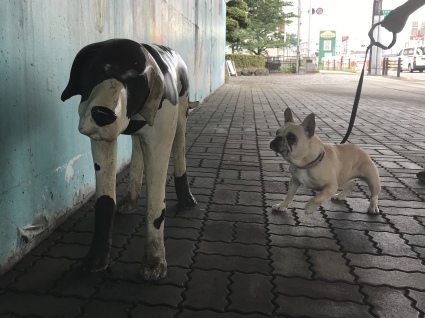 d0048577_13580246.jpeg