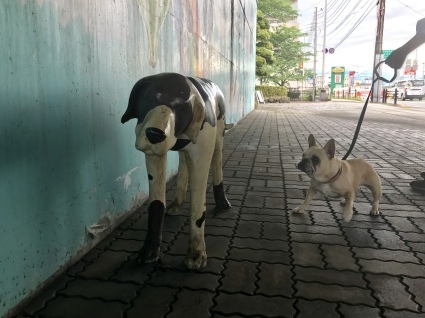 d0048577_13593580.jpeg
