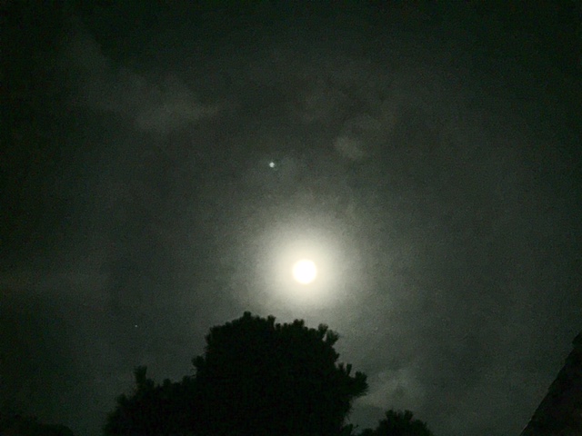 c0064389_2375772.jpg