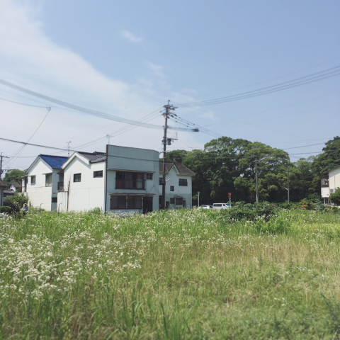 土曜日、日曜日と、_e0330790_20394025.jpg